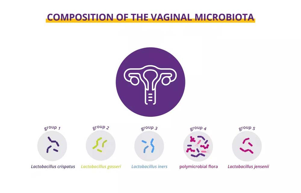 Direct link between probiotics and vaginal health