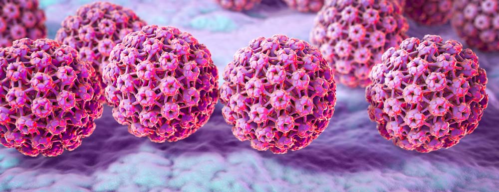 Human papillomavirus