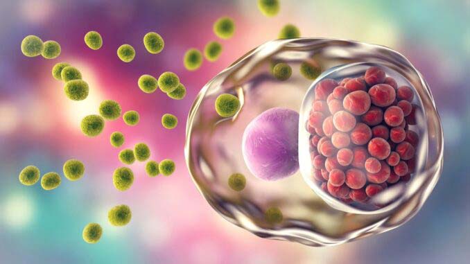 آنتی بیوتیک و عفونت قارچی: چگونه آنتی بیوتیک ها باعث عفونت زنان می شوند؟ 3 Scenario for developing a vaginal infection