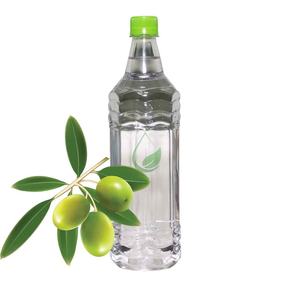 عرق برگ زیتون