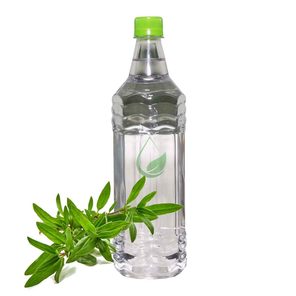 عرق آویشن
