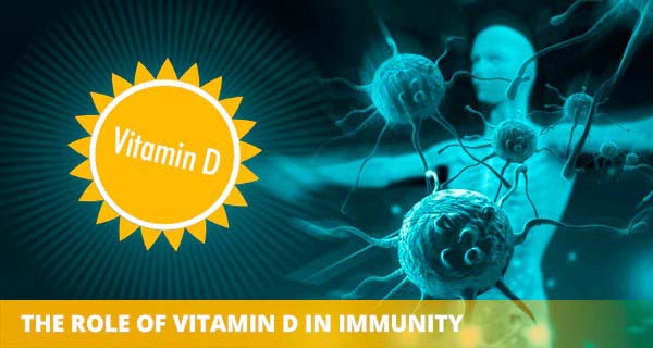 The connection between vitamin D and the vaginal immune system