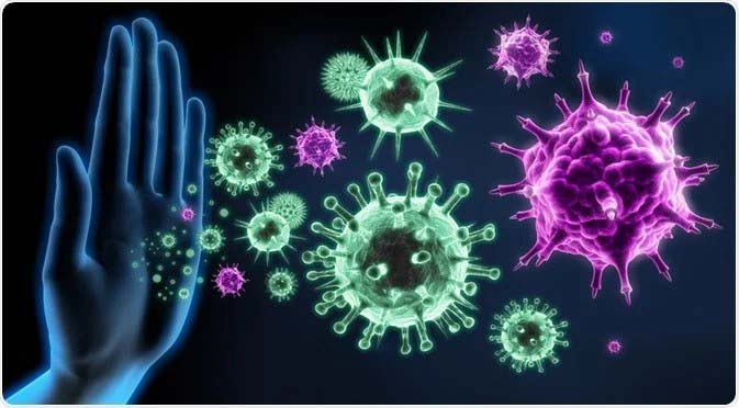 آیا عفونت های مکرر زنان میتواند نشانهی ضعف سیستم ایمنی باشد؟ 3 The role of the immune system in fighting infections