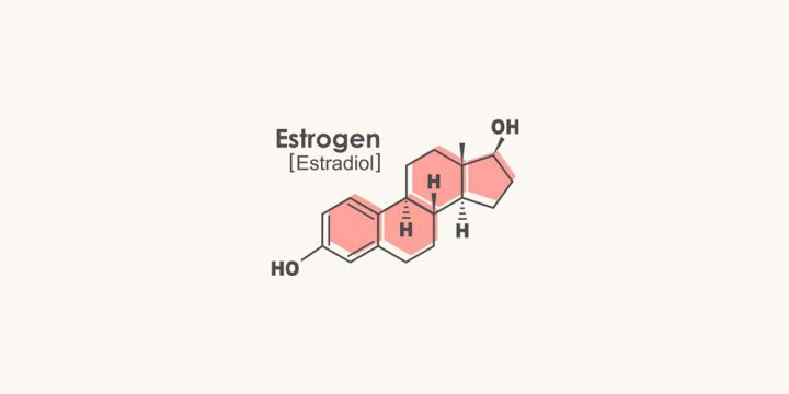 Estrogen