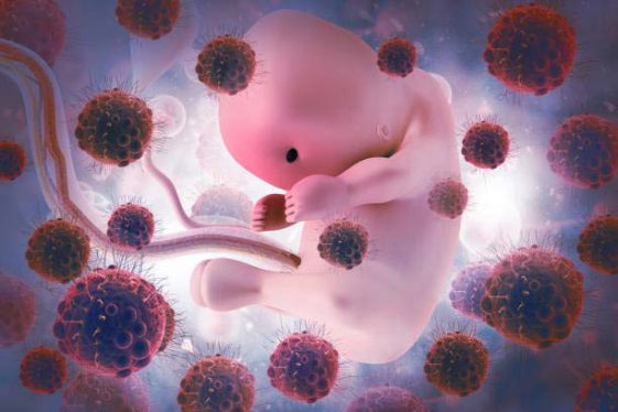 How is the infection transmitted from mother to baby