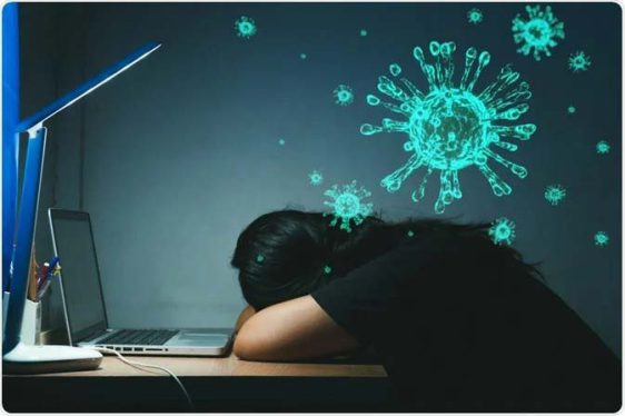 Sleep and immune system function