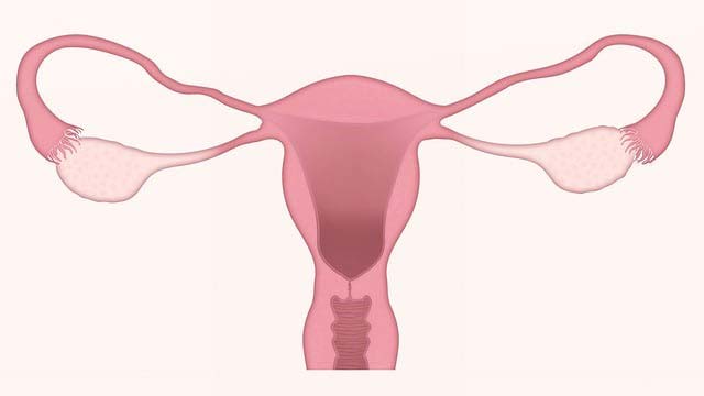Urinary tract infection yeast infection bacterial vaginosis